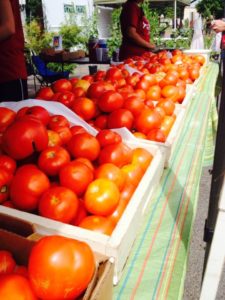 Fresh produce of Red, ripe tomatoes!